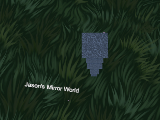 Jason's Mirror World
