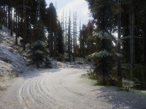 Dirt Road Through Forest