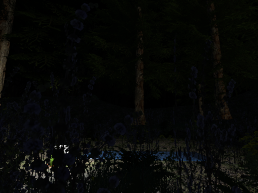 Dark forest
