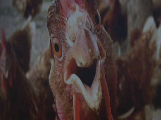 CHICKEN PARADISE