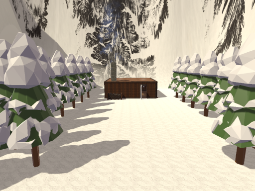 Chill Winter House