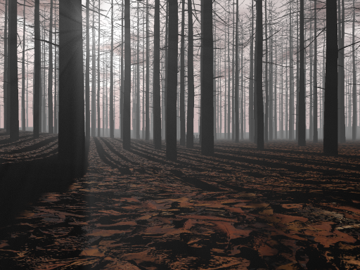 Autumn Woods