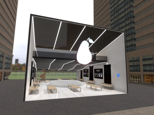 Pear Store （Asset⁄Product Showcase）