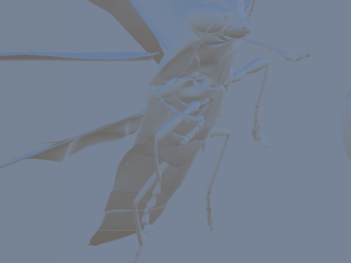 test8