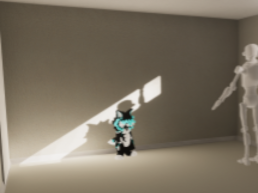 Basement test