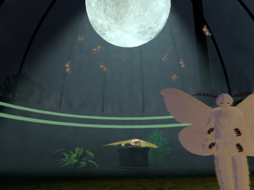 Luna Moth Haven