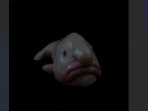 Glub Aquarium