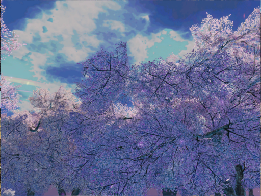 Sakura Home - day