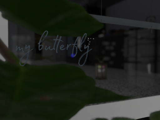 my butterfly