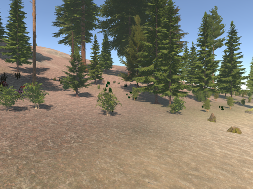 Island test