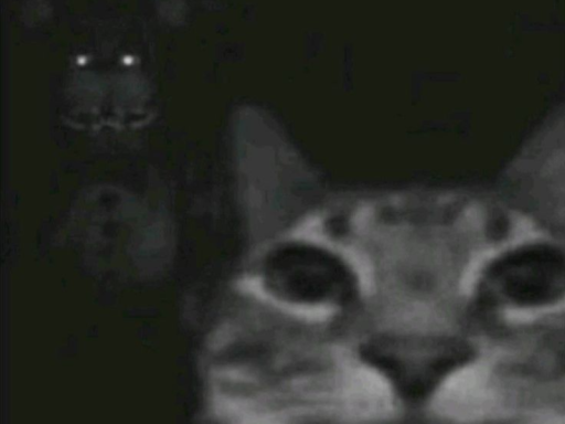 Darkness