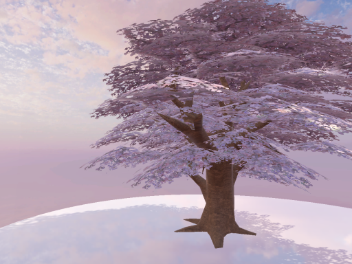 cherry tree