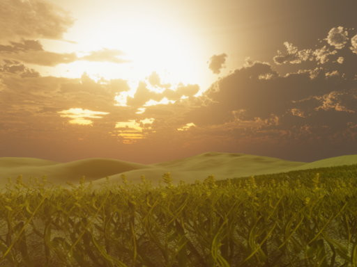 Grassland Fields