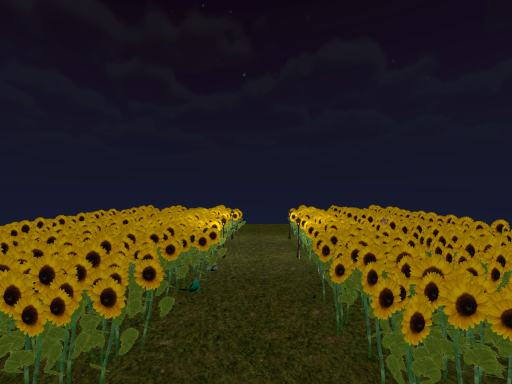 Sunflower Night
