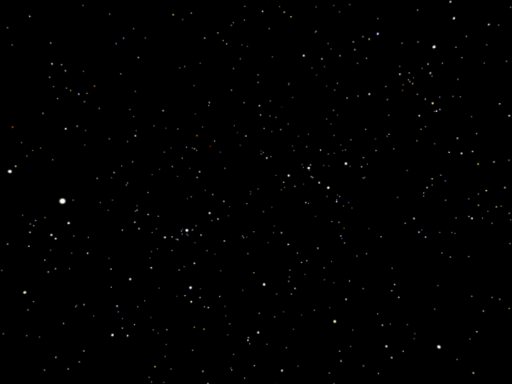 Starry Grove