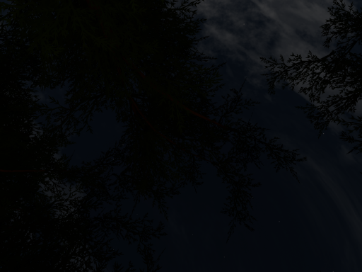 Lost in the woods
