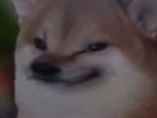 funne avatars