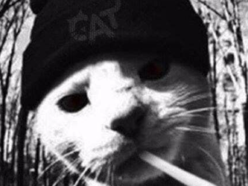 Luckys Avis （FT Toxic）