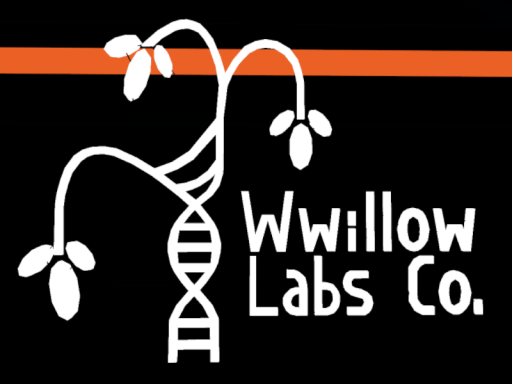 Wwillow Labs Co․ OFFICIAL Avatar World ［EARLY ACCESS⁄W․I․P․ǃ］