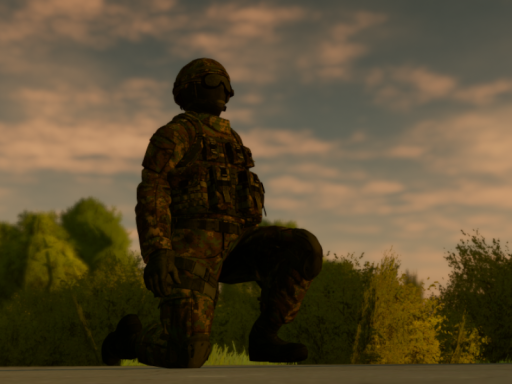 Field