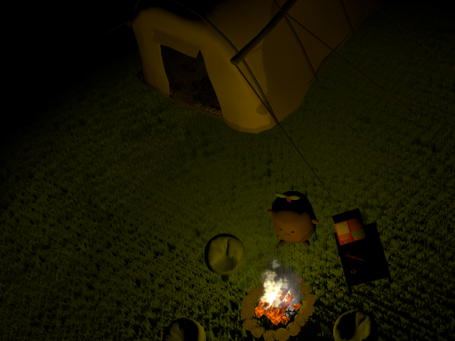 Camping Hangout