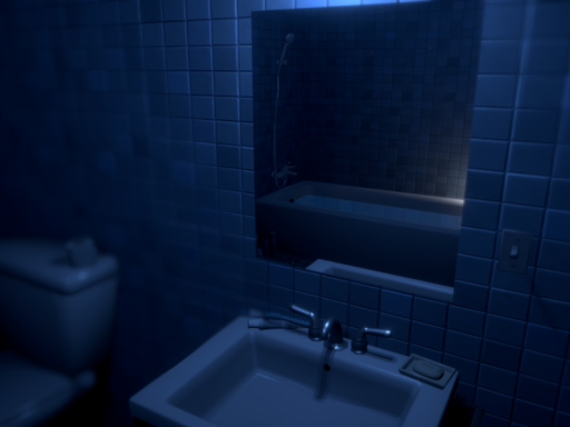 The Bathroom