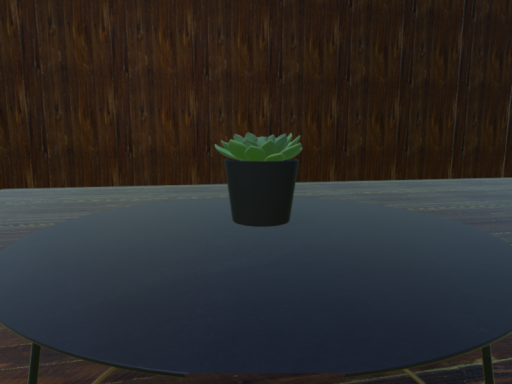 World With the Plant