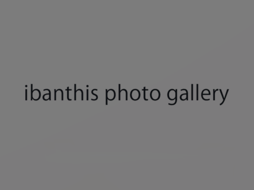 ibanthis Photo gallery