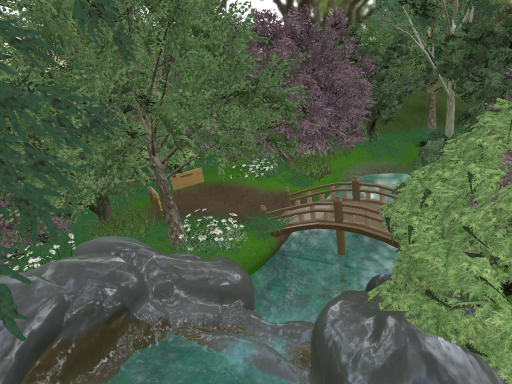 Sam's Shiba pond