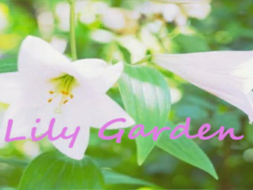 LilyGarden