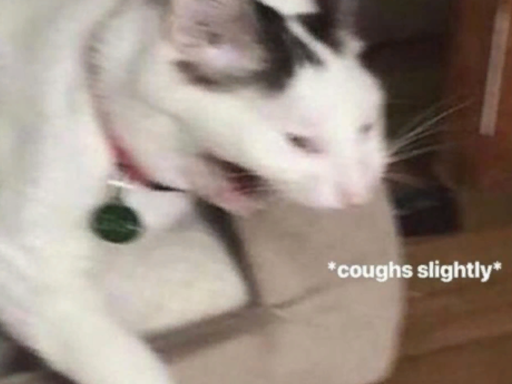 You are on a video call at 5 AM after staying up all night․