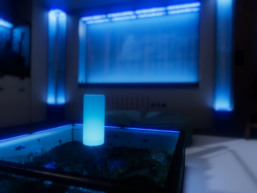 Temporary Aquarium