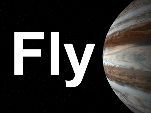 Fly
