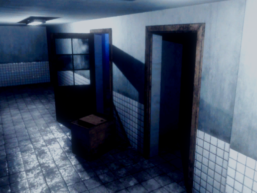 Abandoned Asylum