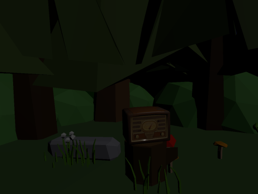 Cool Camp
