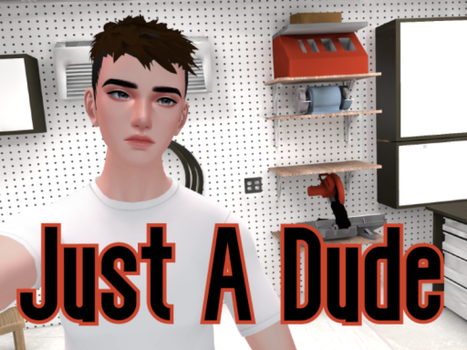 Just A Dude Avatar World