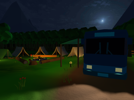 Shy Camp