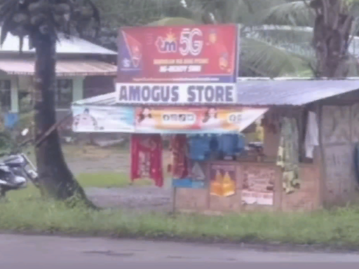 AMOGUS STORE