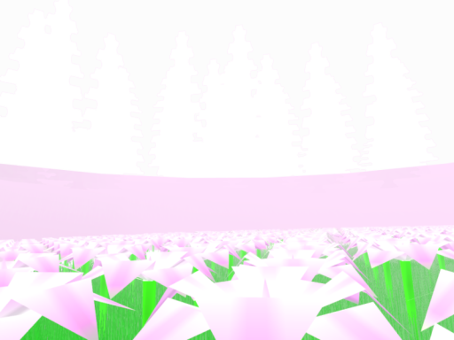 the flower bed