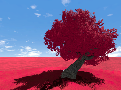 Bia's tree