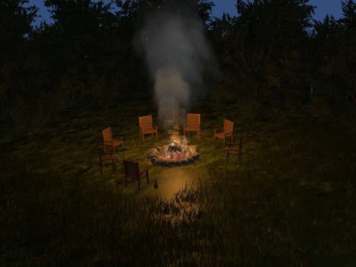 Backyard Party