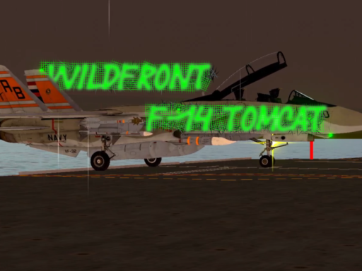 WildFront ｜ F-14 Tomcat