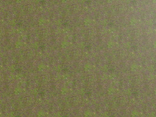 School_HT․2․8