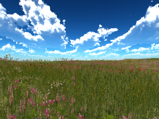 GrassFlowers