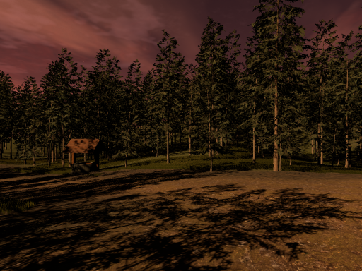 Chill Forest