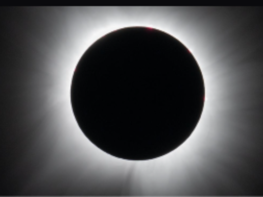 ［Dark_Moon's Avi World］4New Avis