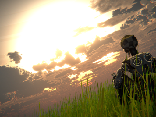 Heavenly Dream Fields