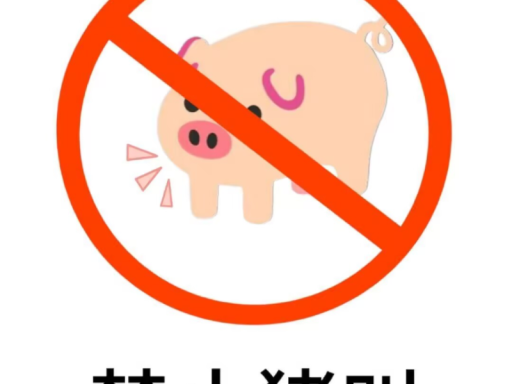 爱吃小鱼干