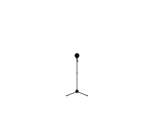 test world