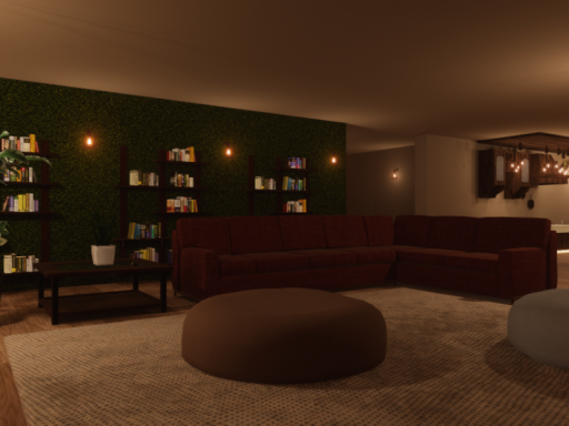 Cozy Plants